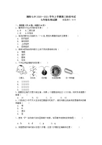 辽宁省朝阳市第七中学2020-2021学年上学期第三阶段考试七年级生物【试卷+答案】