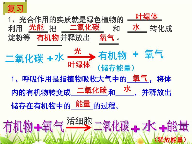 3.5.5光合作用和呼吸作用原理的运用课件2021--2022学年苏教版生物七年级上册第2页