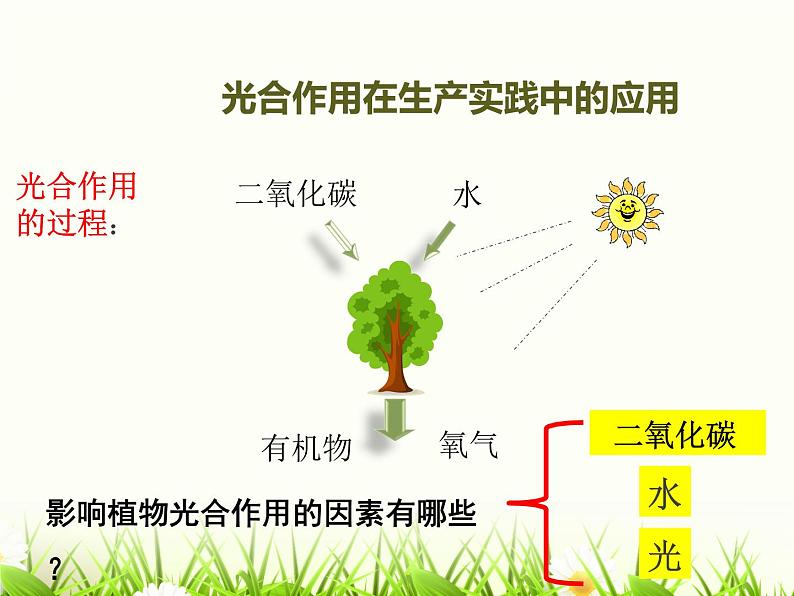 3.5.5光合作用和呼吸作用原理的运用课件2021--2022学年苏教版生物七年级上册第7页