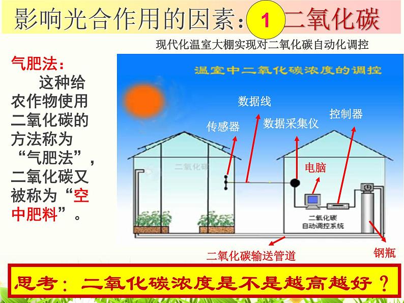 3.5.5光合作用和呼吸作用原理的运用课件2021--2022学年苏教版生物七年级上册第8页