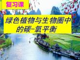 3.5 绿色植物与生物圈中的碳—氧平衡（复习课）课件 2021-2022学年人教版生物七年级上册