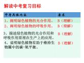 3.5 绿色植物与生物圈中的碳—氧平衡（复习课）课件 2021-2022学年人教版生物七年级上册