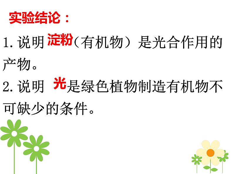 3.5 绿色植物与生物圈中的碳—氧平衡（复习课）课件 2021-2022学年人教版生物七年级上册07