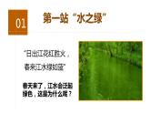 人教版七年级生物上册--3.1.1藻类、苔藓、蕨类课件PPT
