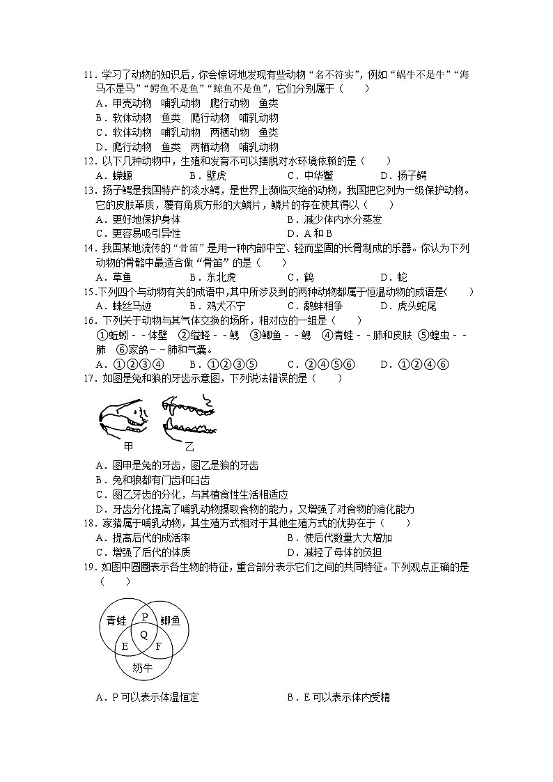 广东省深圳市福田区2020-2021学年上学期教学质量调研八年级生物试卷（word版 含答案）02