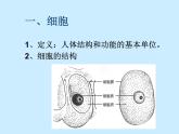上海版八年级上册生物  1.1.1 人体内的细胞是如何组织起来的 课件   (共25张PPT)
