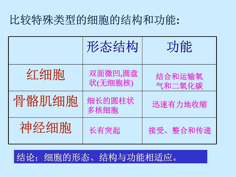 上海版八年级上册生物  1.1.1 人体内的细胞是如何组织起来的 课件   (共25张PPT)第7页