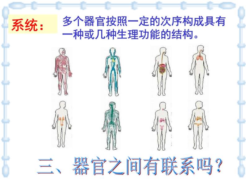上海版八年级上册生物  1.1.4 人体的结构层次 课件   (共21张PPT)06