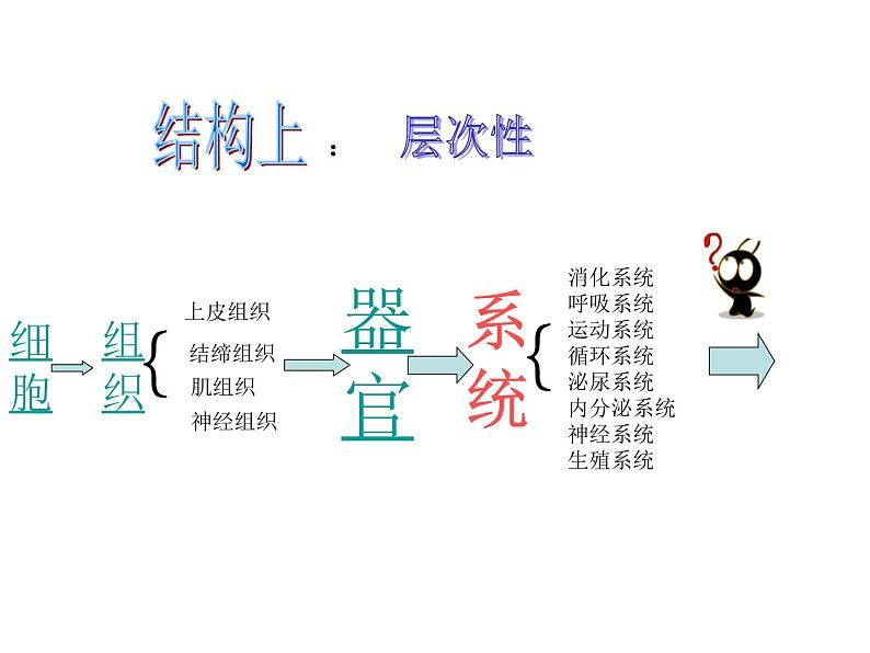 上海版八年级上册生物  1.1.4 人体的结构层次 课件   (共25张PPT)第3页