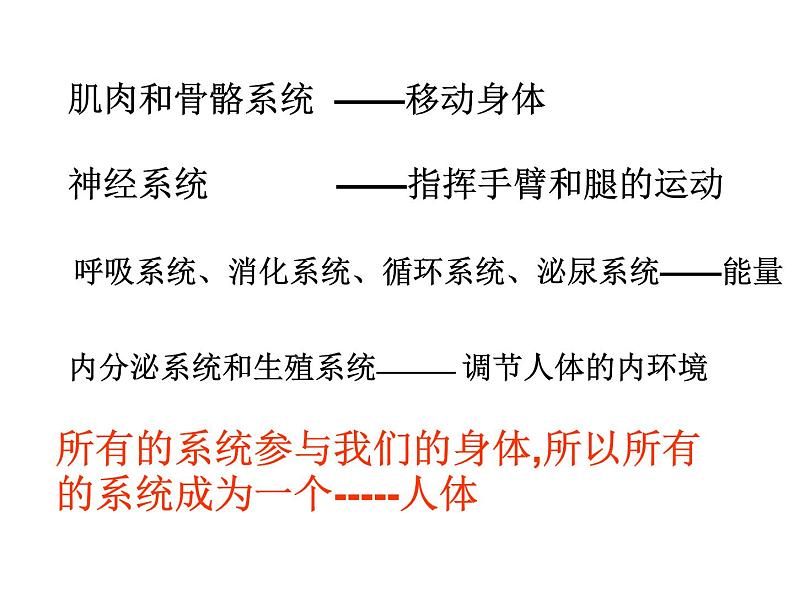 上海版八年级上册生物  1.1.4 人体的结构层次 课件   (共25张PPT)第5页