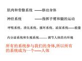 上海版八年级上册生物  1.1.4 人体的结构层次 课件   (共25张PPT)