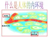 上海版八年级上册生物  1.2.2 人体的内环境 课件   (共17张PPT)
