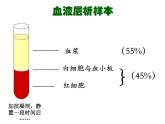 上海版八年级上册生物  1.2.2 人体的内环境 课件   (共17张PPT)