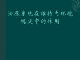 上海版八年级上册生物  1.2.7 泌尿系统是如何维持内环境稳定的 课件   (共20张PPT)