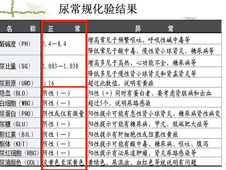 神经调节PPT课件免费下载06