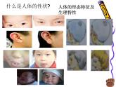 上海版八年级上册生物  2.3.1 人体的性状和遗传现象 课件   (共14张PPT)