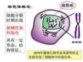 上海版八年级上册生物  2.3.2 染色体与人体性别决定 课件   (共16张PPT)