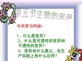 上海版八年级上册生物  2.3.5 生物变异（1） 课件   (共27张PPT)