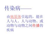 上海版八年级上册生物  3.2.1 常见传染病及其预防 课件   (共23张PPT)