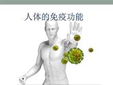 上海版八年级上册生物  3.2.2 人体的免疫功能 课件   (共20张PPT)