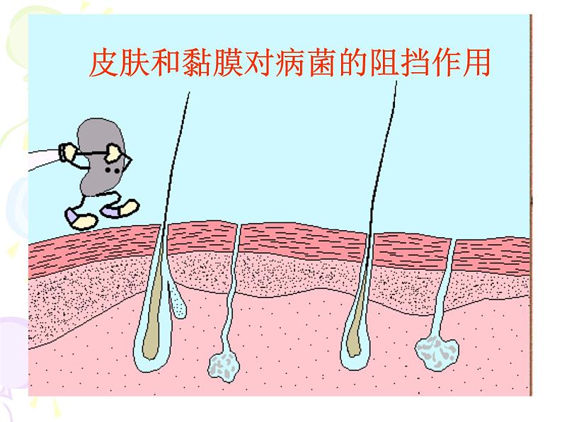 上海版八年级上册生物  3.2.2 人体的免疫功能 课件   (共32张PPT)第6页