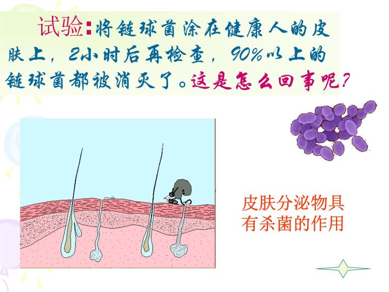 上海版八年级上册生物  3.2.2 人体的免疫功能 课件   (共32张PPT)08