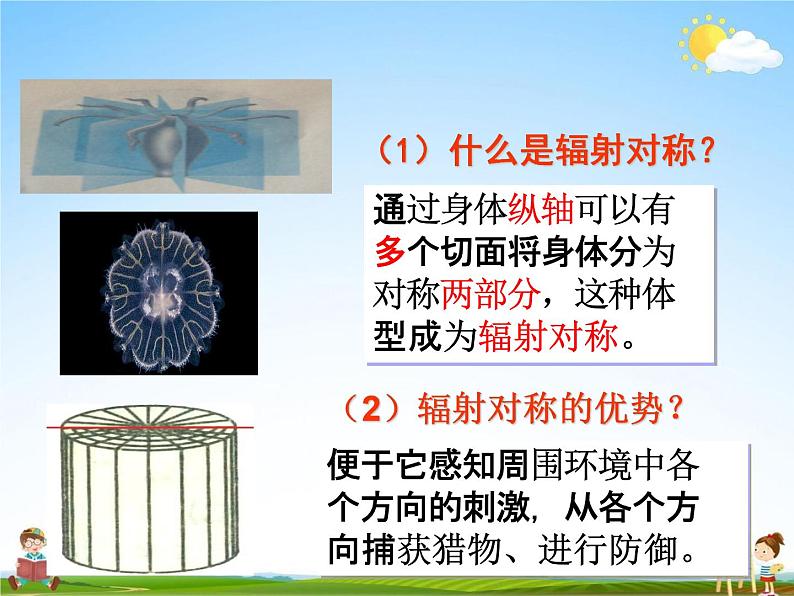 人教版八年级生物上册《5-1-1 腔肠动物和扁形动物》教学课件PPT初二优秀公开课 (2)第6页