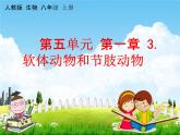 软体动物和节肢动物PPT课件免费下载