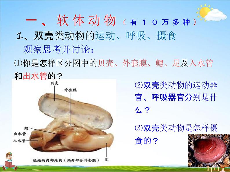 软体动物和节肢动物PPT课件免费下载02