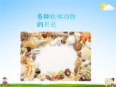软体动物和节肢动物PPT课件免费下载