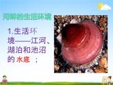 软体动物和节肢动物PPT课件免费下载
