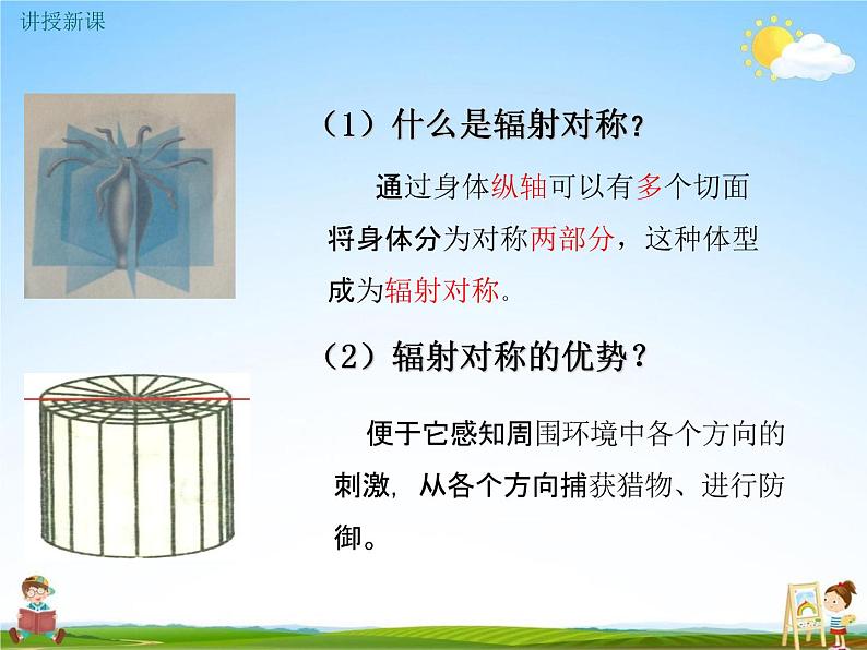 人教版八年级生物上册《5-1-1 腔肠动物和扁形动物》教学课件PPT初二优秀公开课第8页