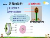 病毒PPT课件免费下载