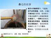 人教版八年级生物上册《5-4-3 真菌》教学课件PPT初二优秀公开课