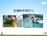 人教版八年级生物上册《5-2-2 先天性行为和学习行为》教学课件PPT初二优秀公开课 (2)
