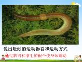 人教版八年级生物上册《5-2-1 动物的运动》教学课件PPT初二优秀公开课 (2)
