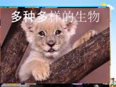 人教版八年级生物上册《6-1-1 尝试对生物进行分类》教学课件PPT初二优秀公开课