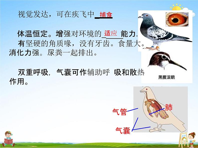 鸟PPT课件免费下载06