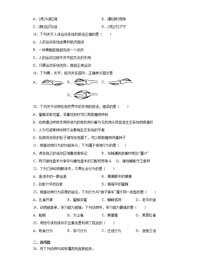 安徽省马鞍山市2021-2022学年八年级上学期期中生物试题（word版 含答案）第3页
