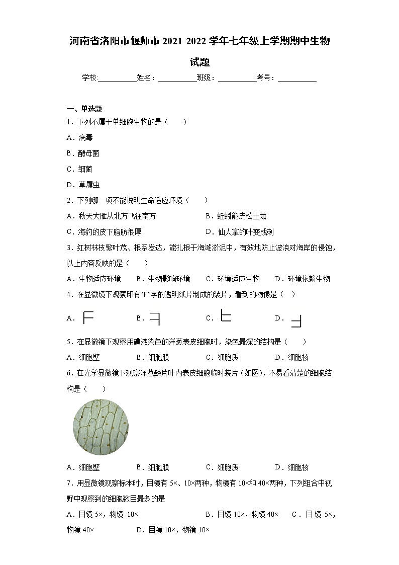 河南省洛阳市偃师市2021-2022学年七年级上学期期中生物试题（word版 含答案）第1页