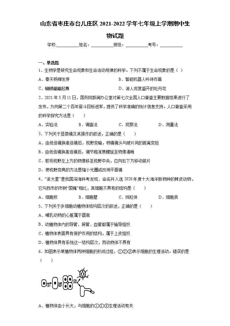 山东省枣庄市台儿庄区2021-2022学年七年级上学期期中生物试题（word版 含答案）01