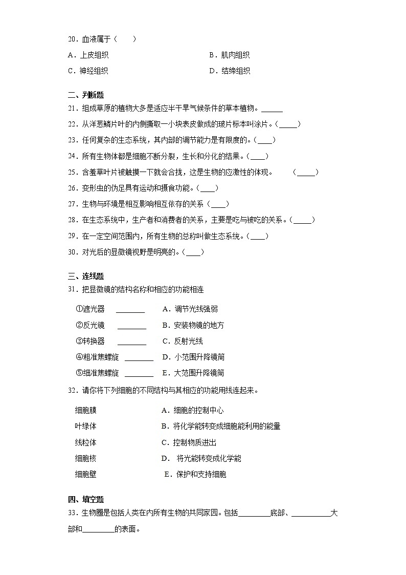 广西南宁市武鸣区2021-2022学年七年级上学期期中生物试题（word版 含答案）第3页