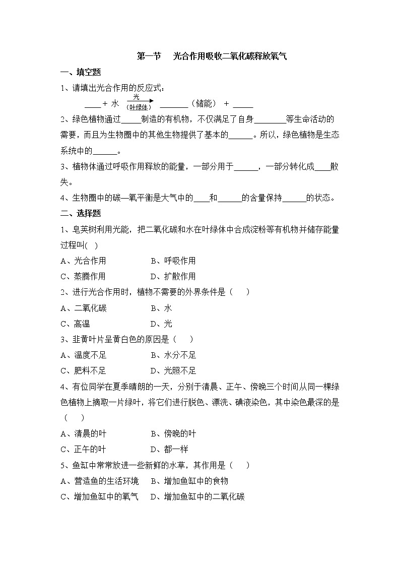 《光合作用吸收二氧化碳释放氧气》同步练习2第1页