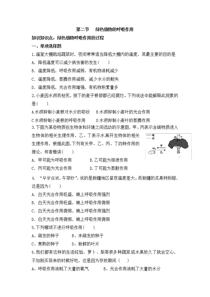 《绿色植物的呼吸作用》同步练习01