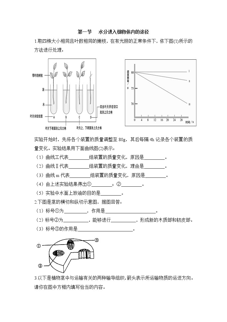 《水分进入植物体内的途径》课堂训练第1页