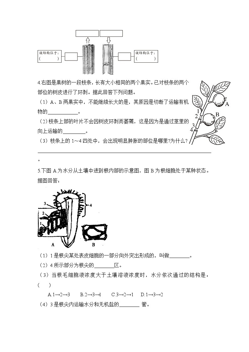 《水分进入植物体内的途径》课堂训练第2页