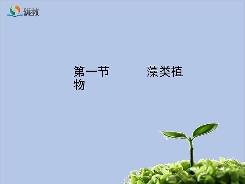 3.1.1《藻类植物》课件2第1页