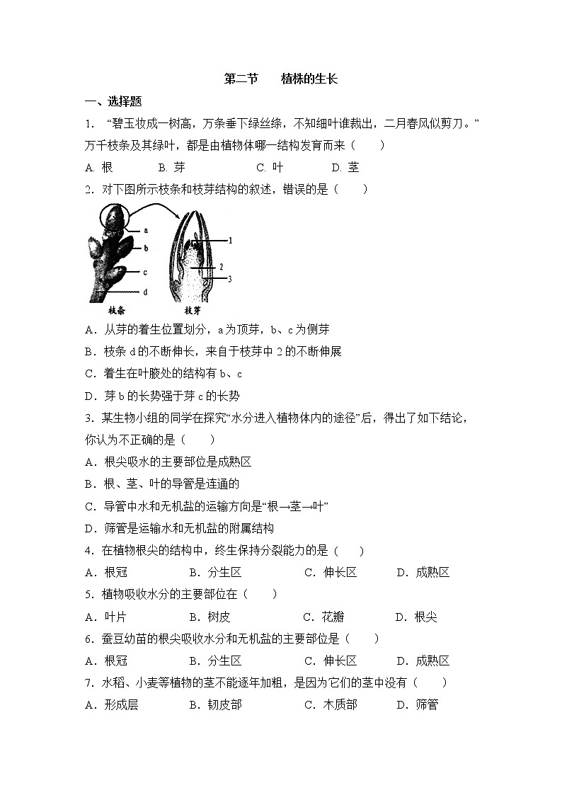 《植株的生长》同步练习201