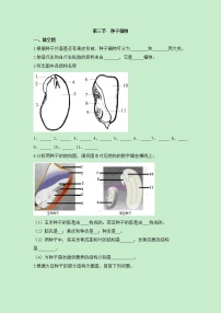 鲁科版 (五四制)六年级下册第三单元 生物圈中的绿色植物第一章 生物圈中有哪些绿色植物第三节 种子植物优秀同步达标检测题