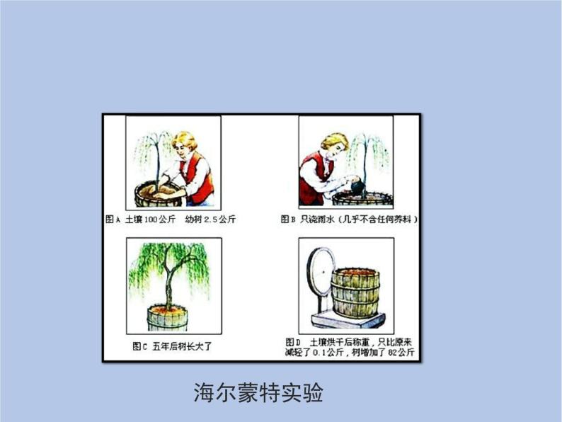 3.5.1《光合作用吸收二氧化碳释放氧气》课件103